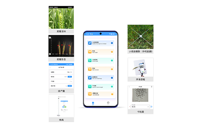 商洛市小麦表型检测仪IN-XM04